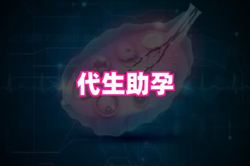gfg孕网 2